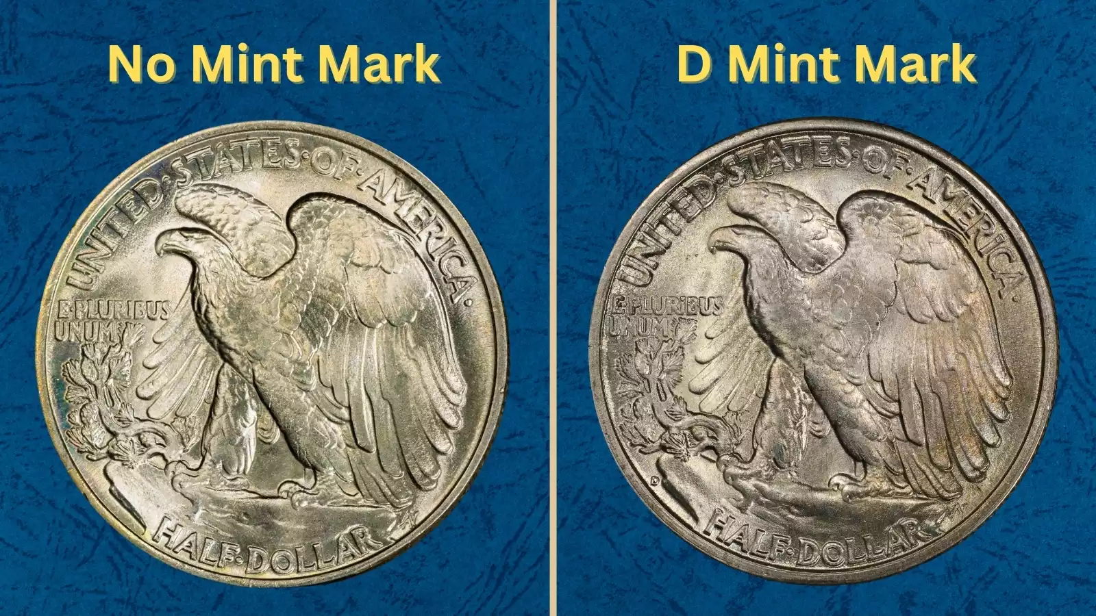 Group of 1947 Walking Liberty half dollars showing various grades from well-worn to uncirculated mint state examples